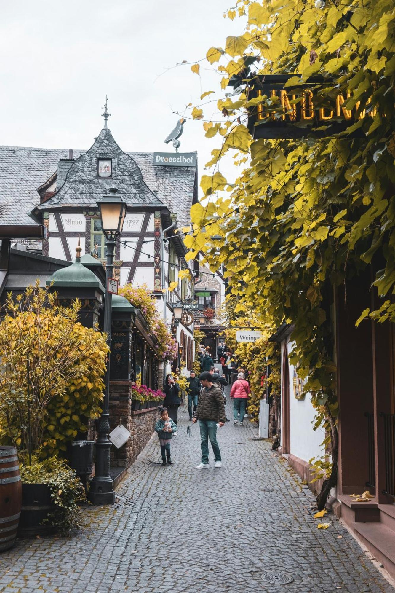 Hotel Zur Loreley - Garni Sankt Goar Dış mekan fotoğraf
